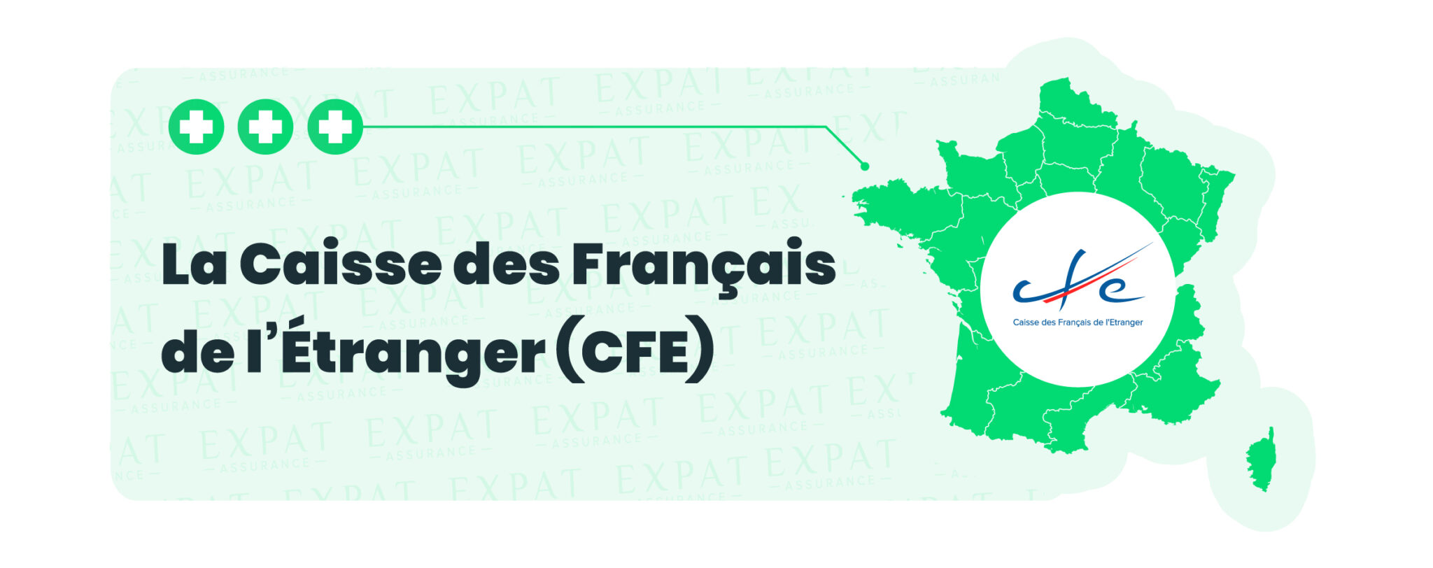 la-caisse-des-fran-ais-de-l-tranger-l-assurance-des-expatri-s